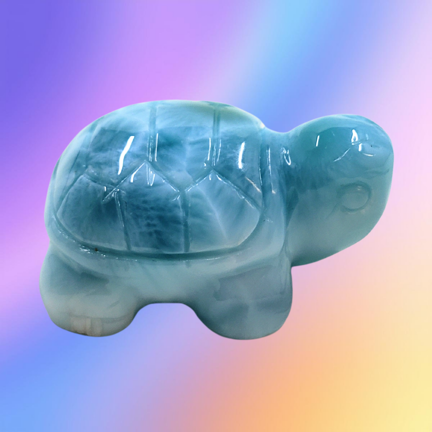 RARE Larimar Turtle Carving