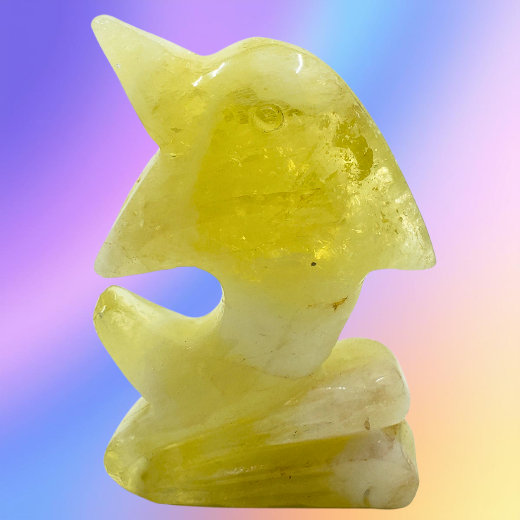 Citrine Dolphin Carving