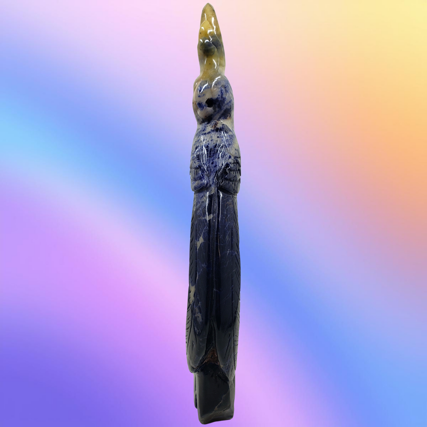 Sodalite Parrot Carving