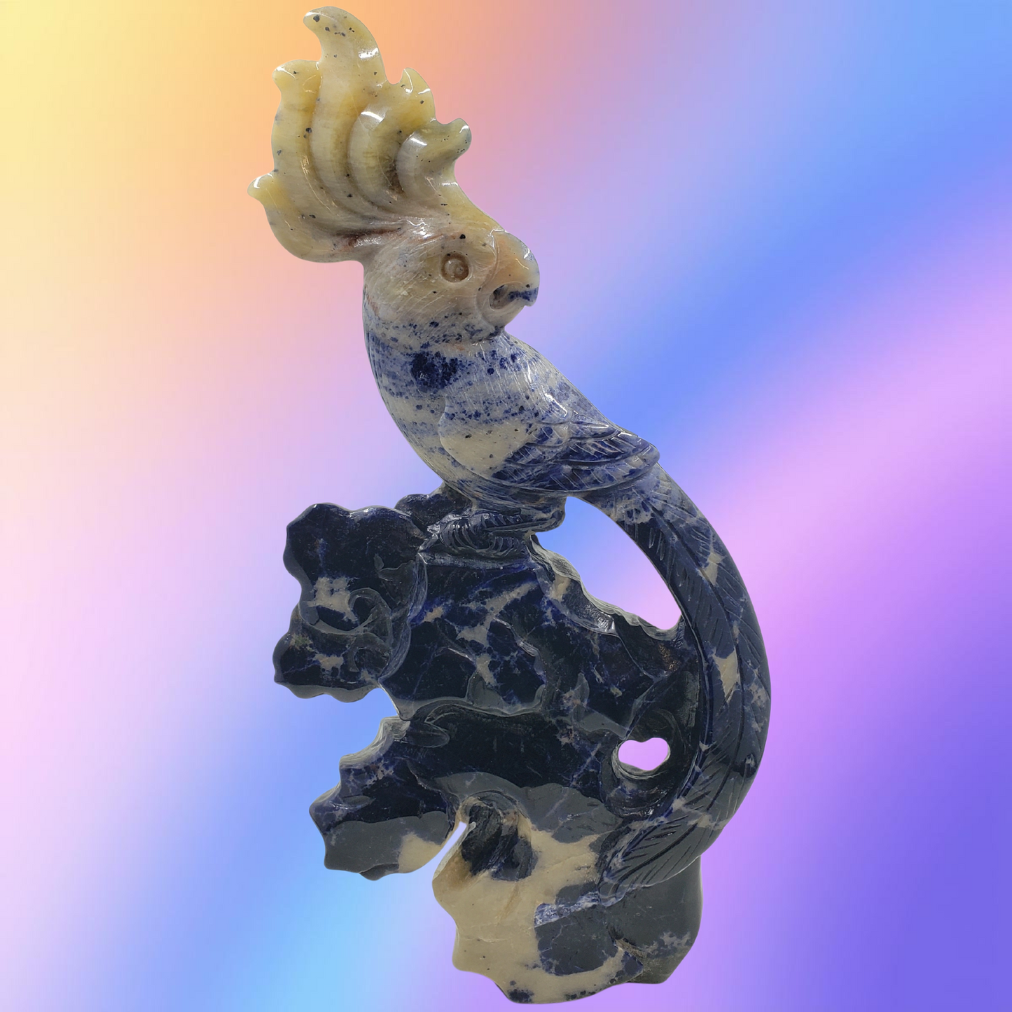 Sodalite Parrot Carving