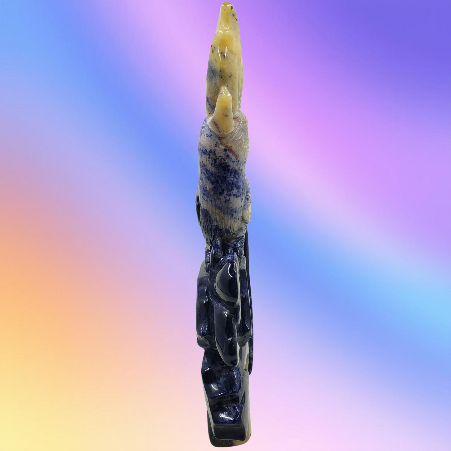 Sodalite Parrot Carving