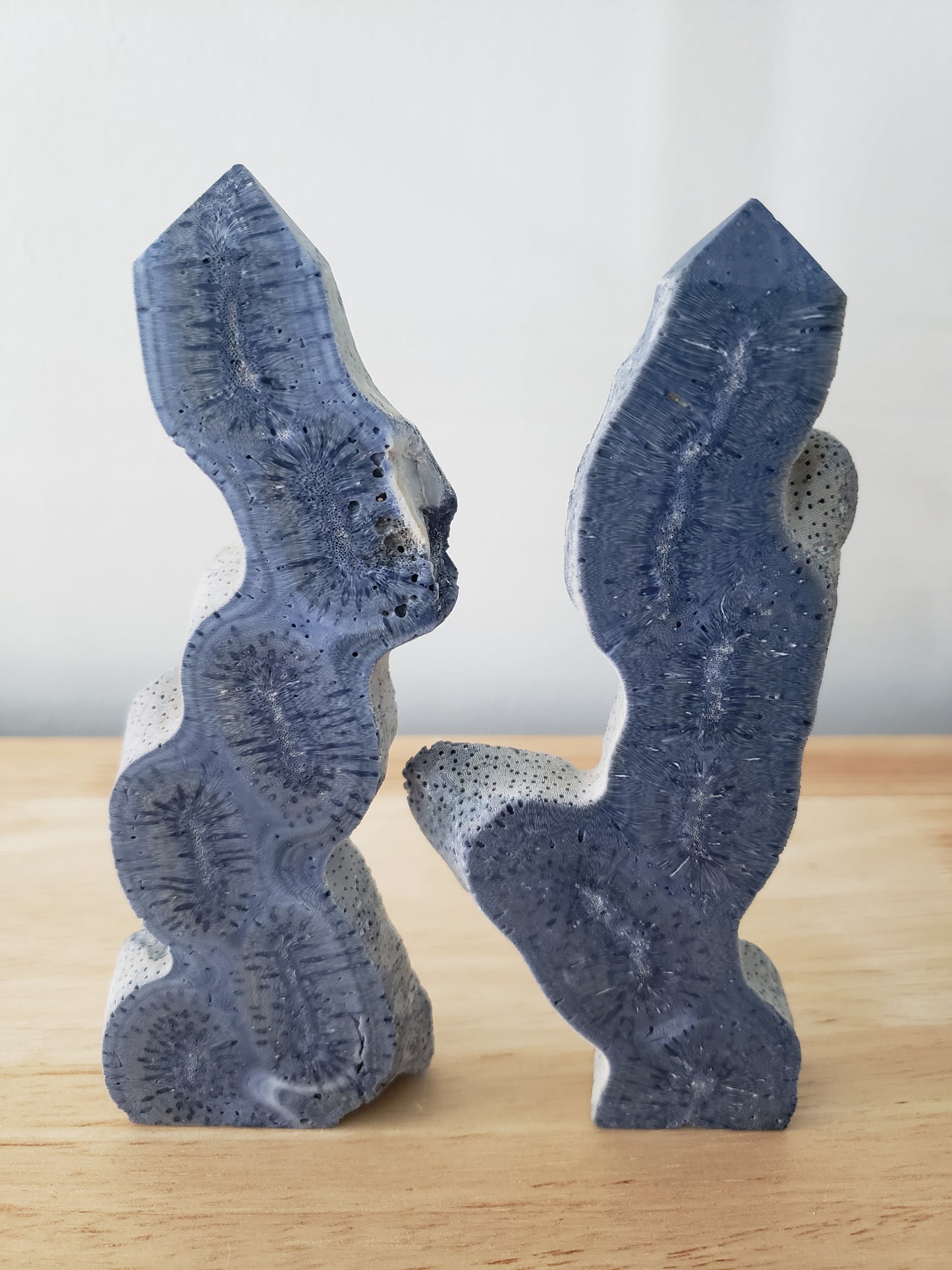 Blue Coral Tower L