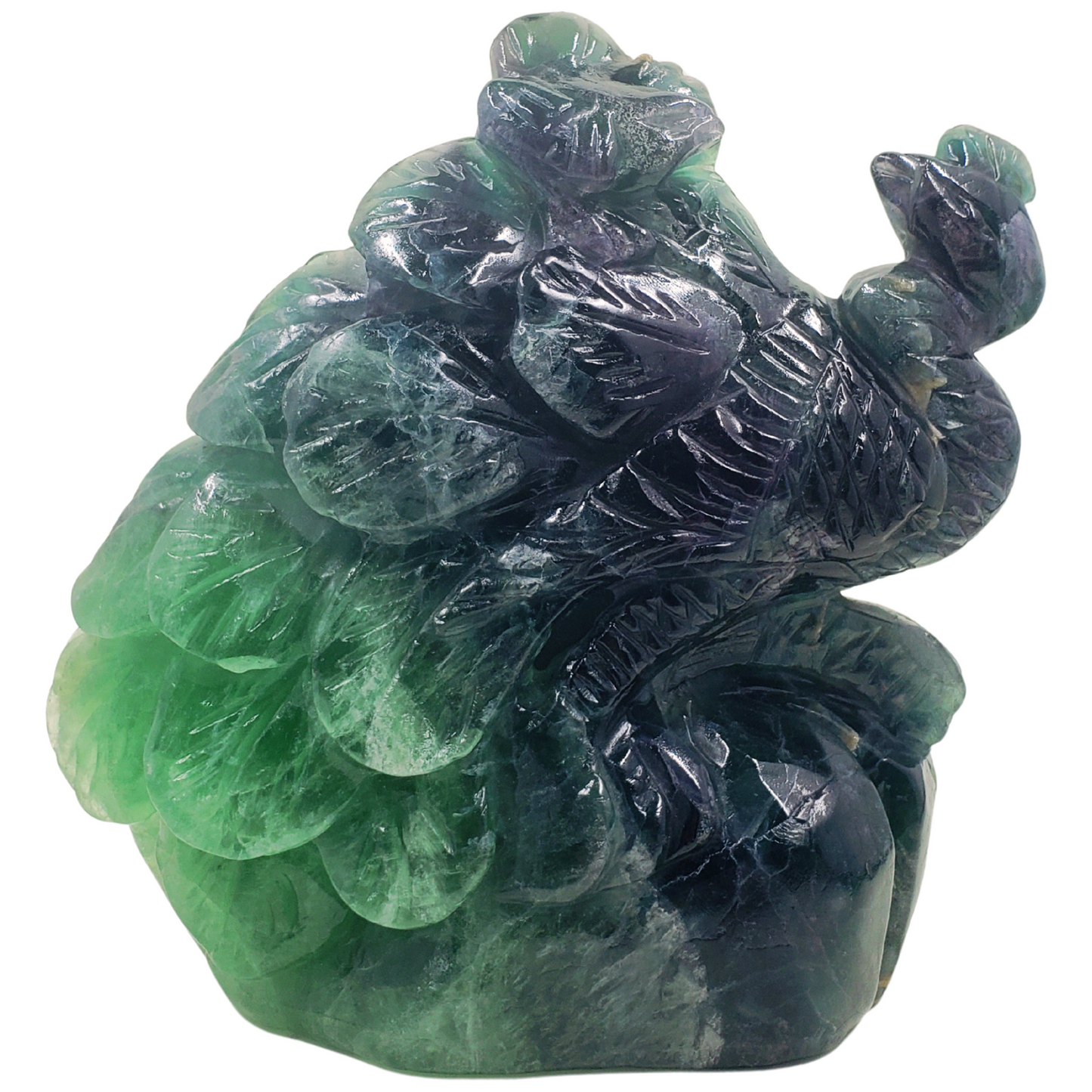 Rainbow Fluorite Peacock