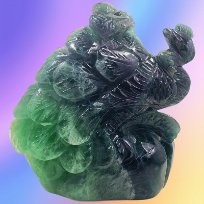 Rainbow Fluorite Peacock