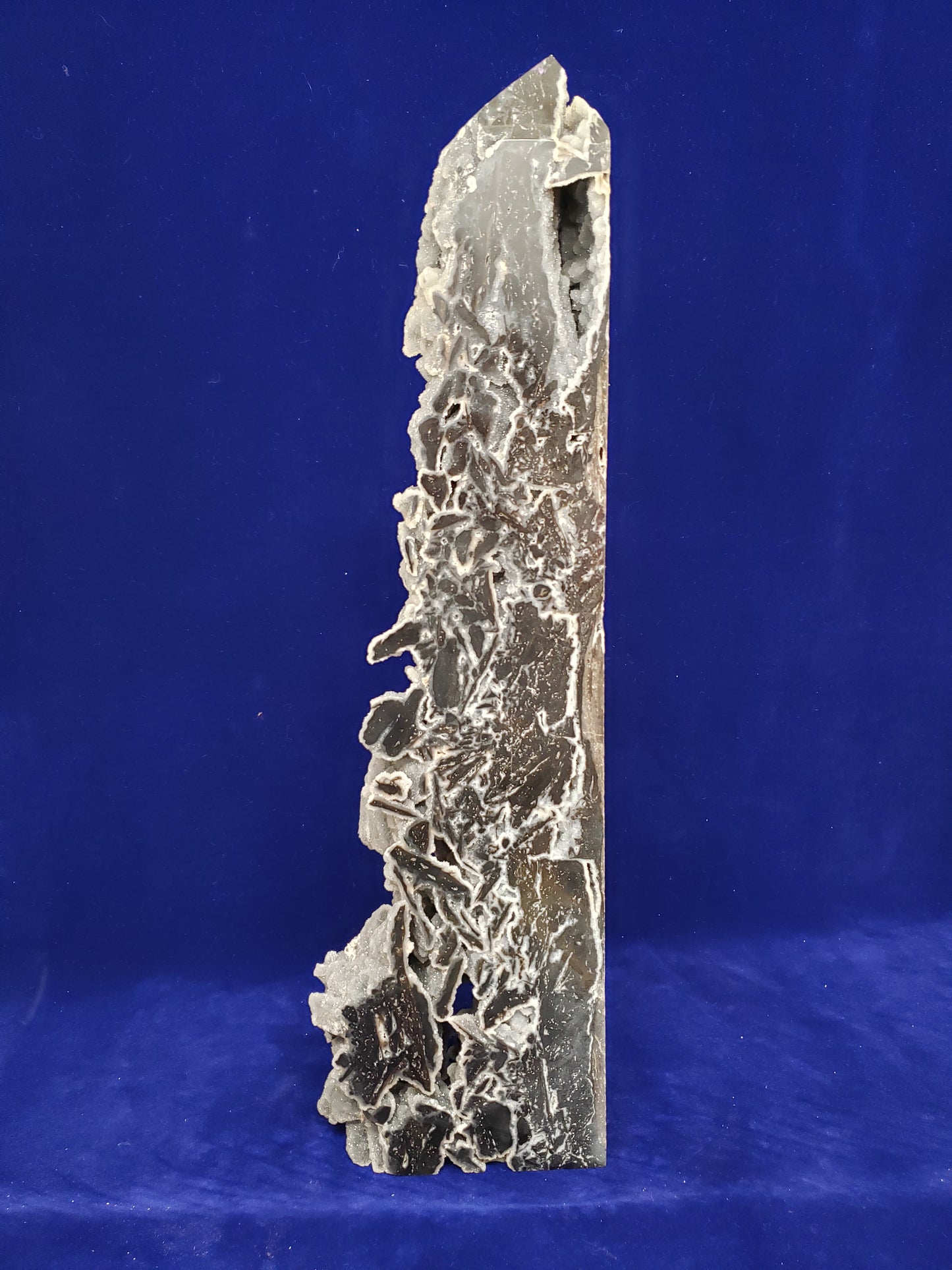 Black Sphalerite Druzey L Tower