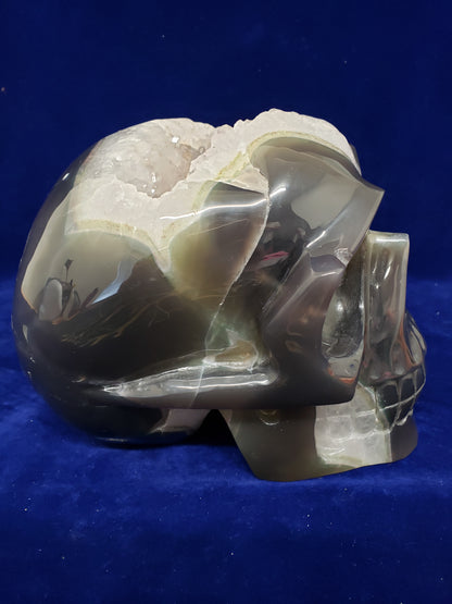 Amethyst Geode Cluster Skull Head