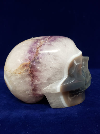 Amethyst Geode Cluster Skull Head