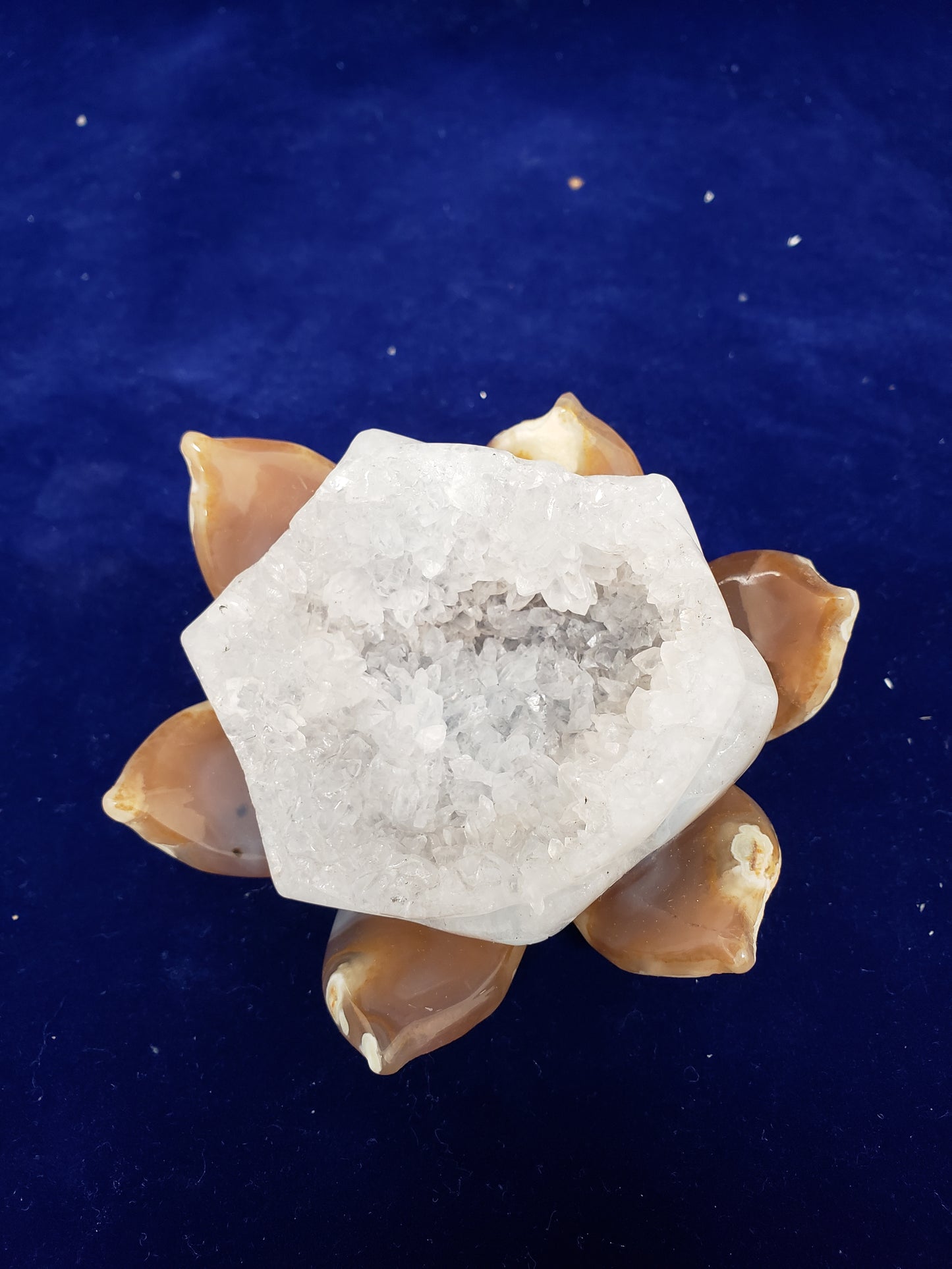 Amethyst Lotus Cluster