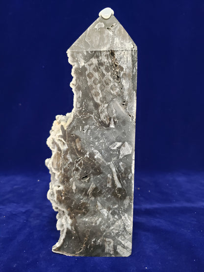 Black Sphalerite M Cluster Tower