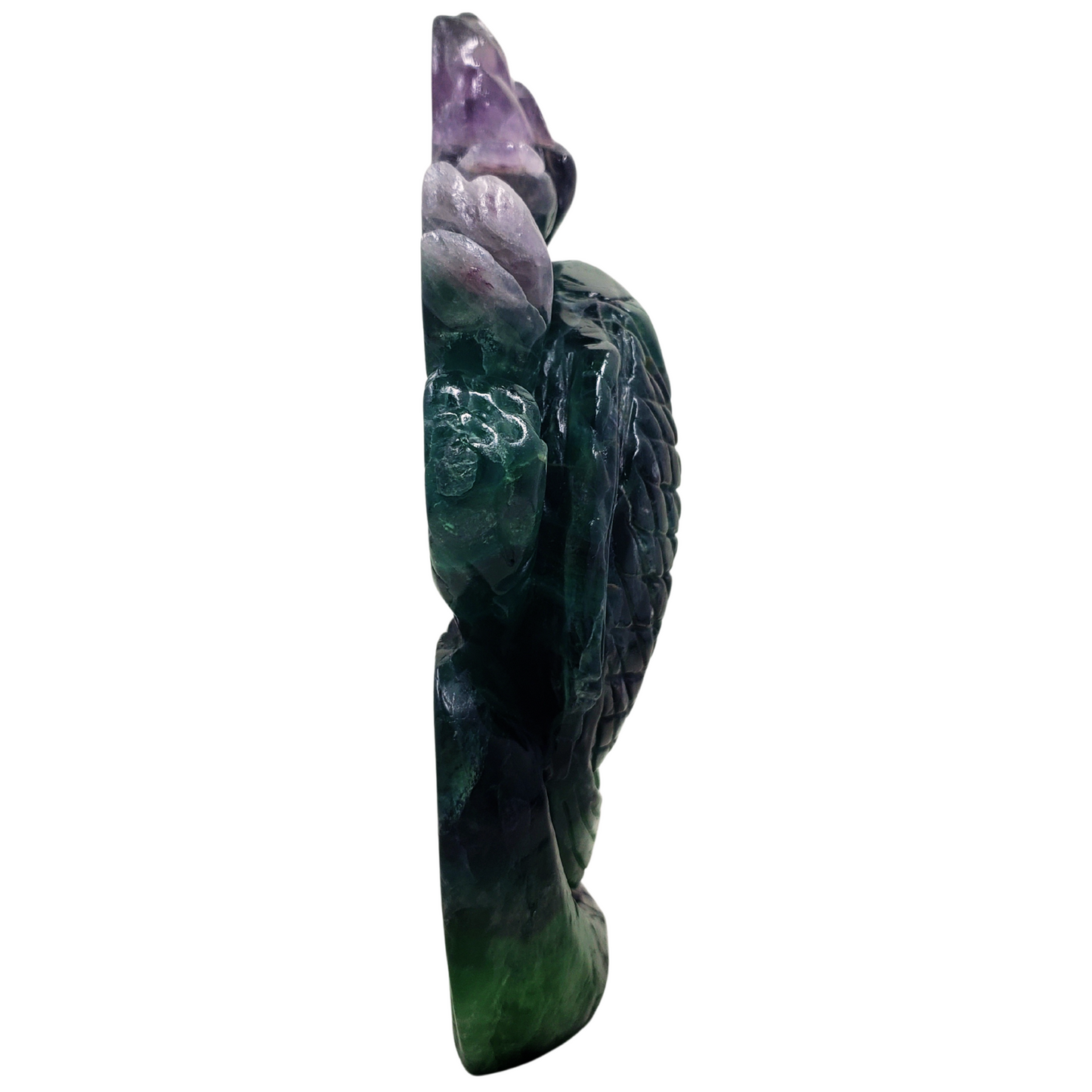 Rainbow Fluorite Fish and Flowers