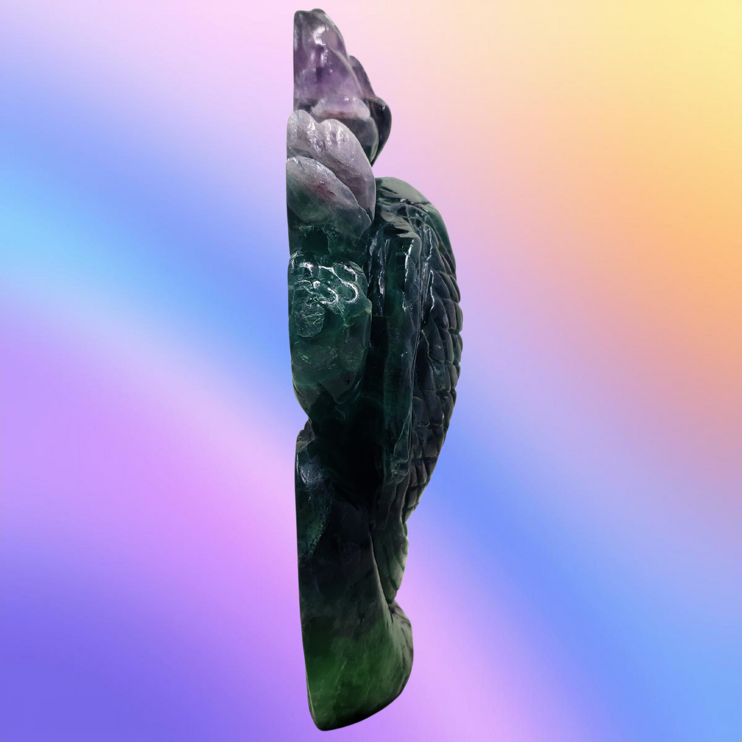 Rainbow Fluorite Fish and Flowers