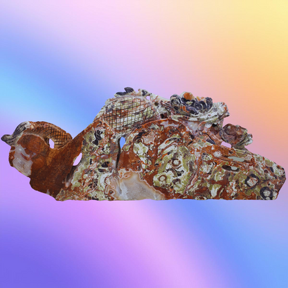 Crazy Lace Agate Chinese Dragon Carving