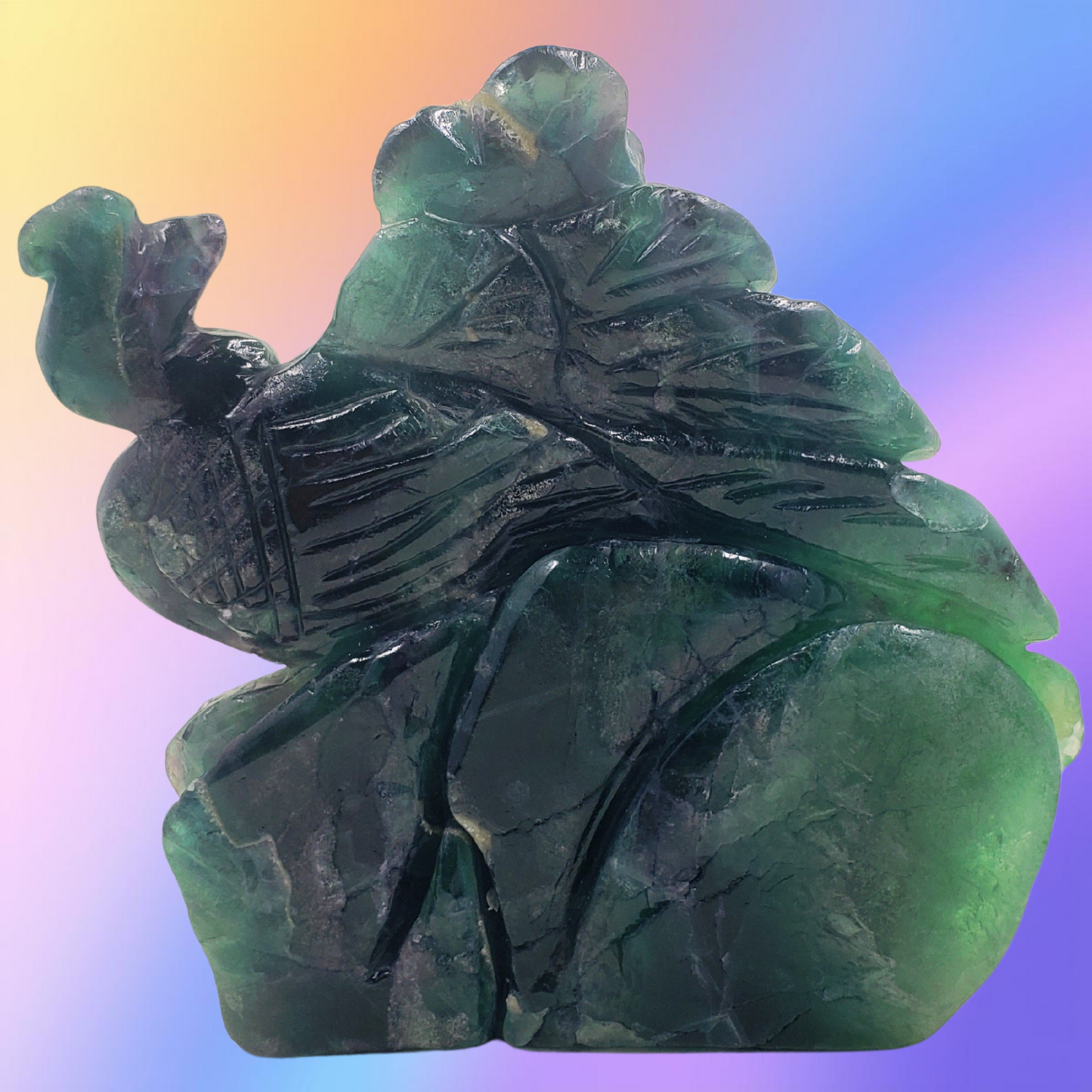 Rainbow Fluorite Peacock
