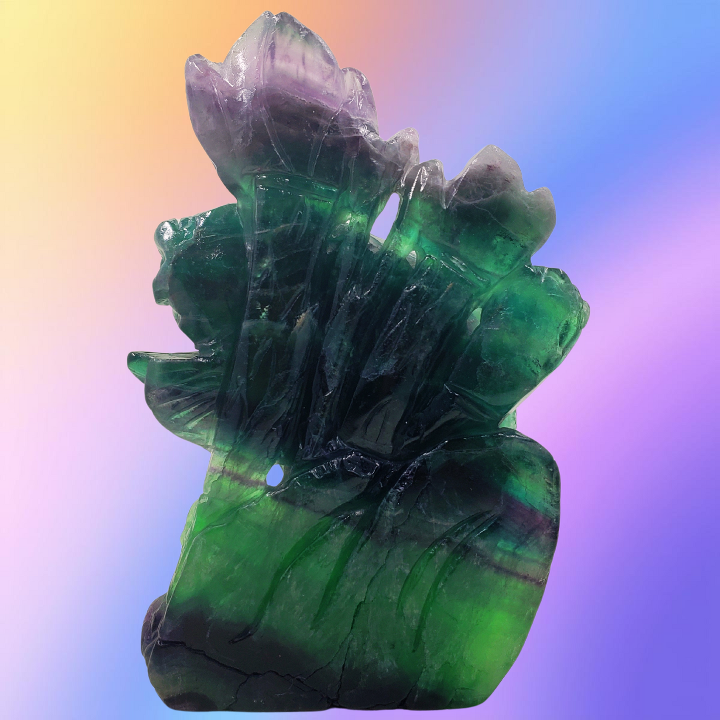 Rainbow Fluorite Fish and Flowers