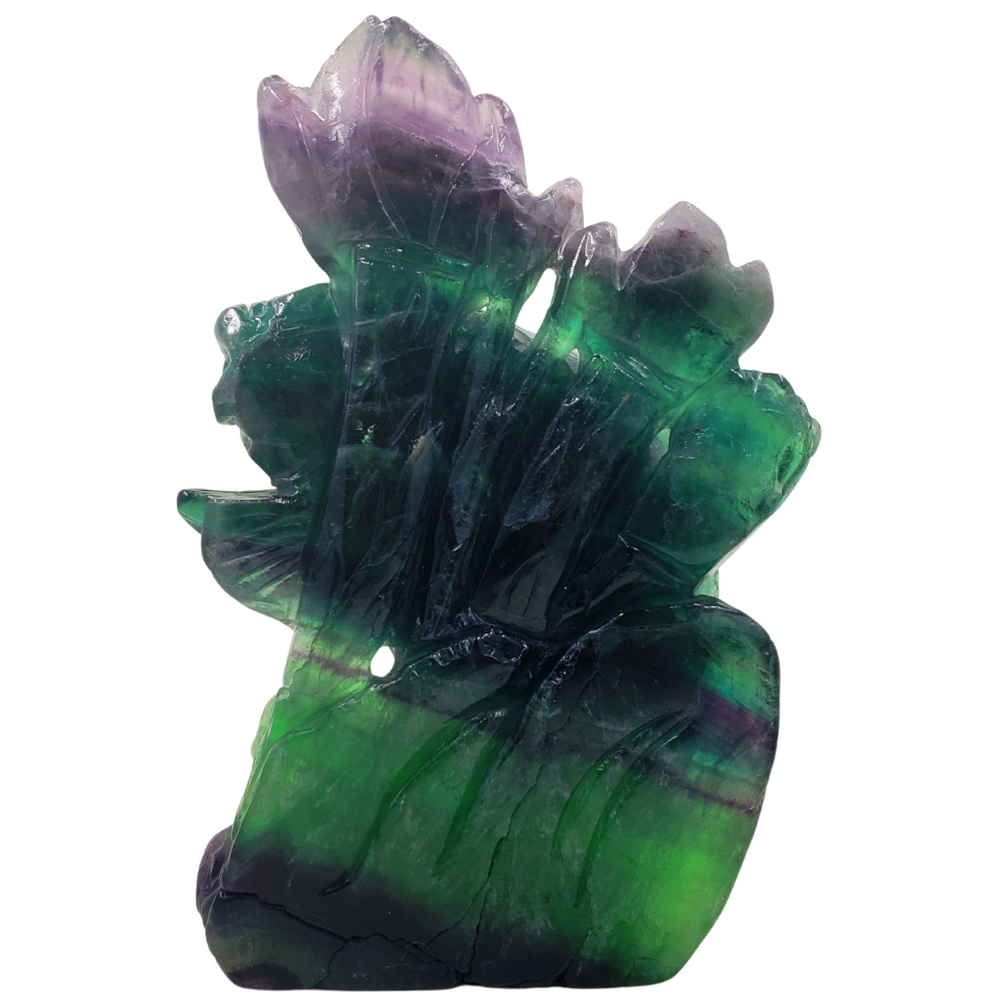 Rainbow Fluorite Fish and Flowers