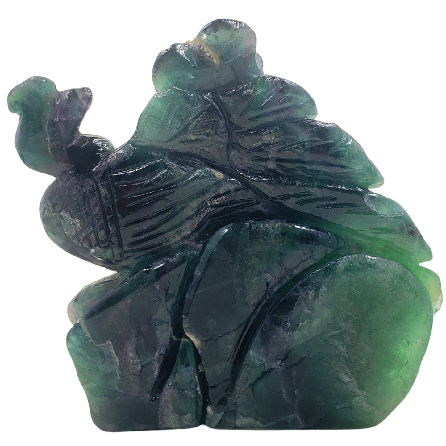 Rainbow Fluorite Peacock