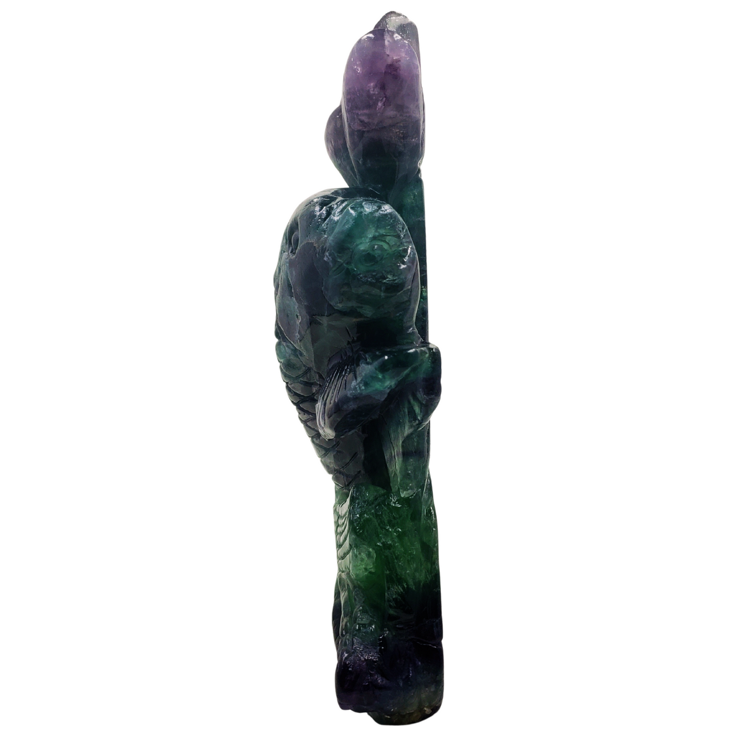 Rainbow Fluorite Fish and Flowers