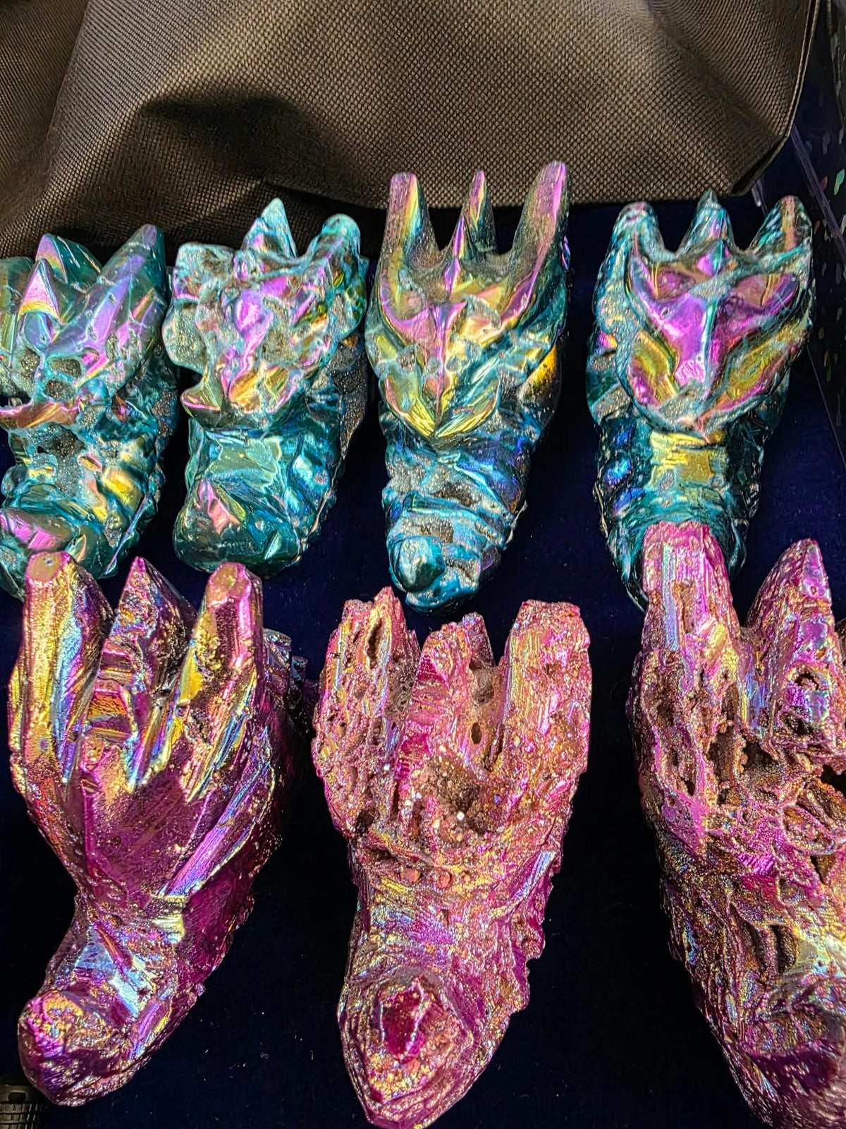 Aura Coated Dragon Heads