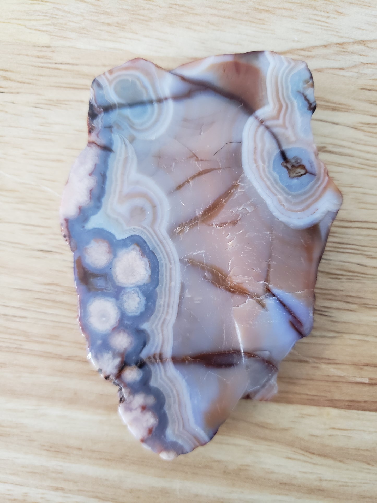 Blue Flower Agate Slabs