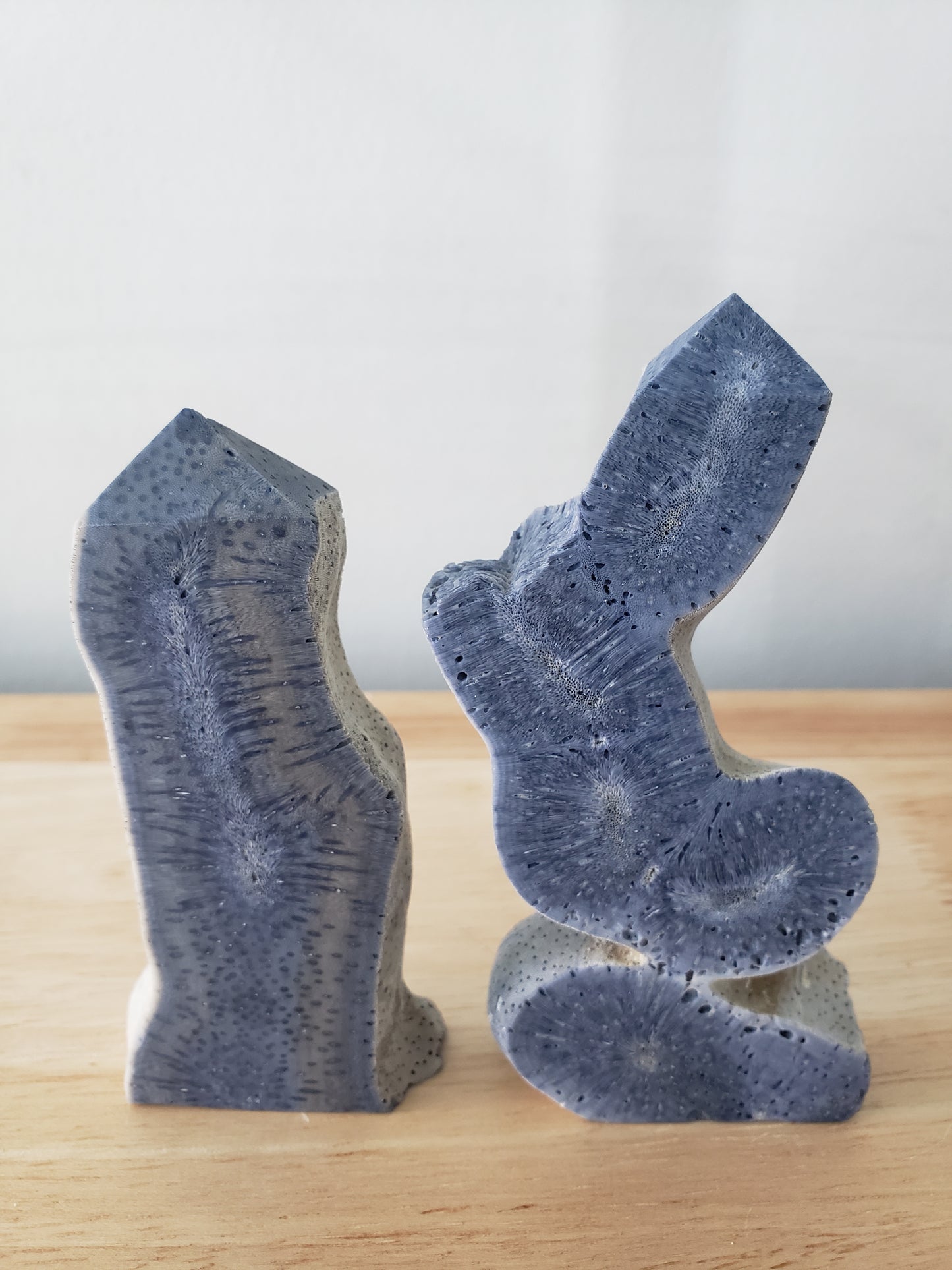 Blue Coral Tower M