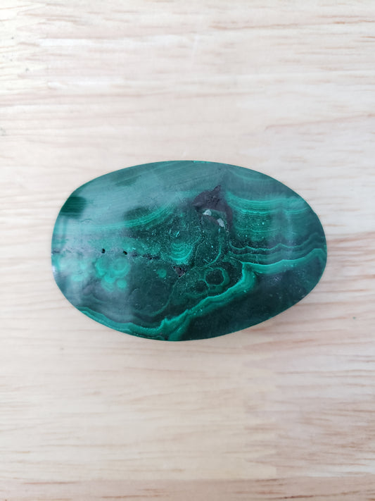 Malachite Palms