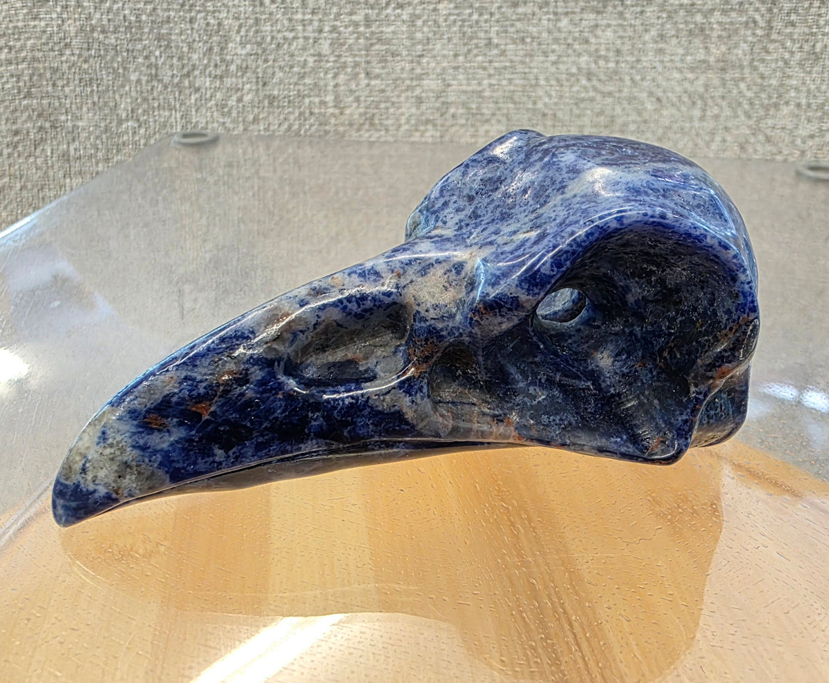Sodalite Crow Skull