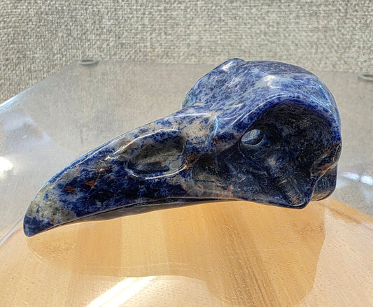 Sodalite Crow Skull