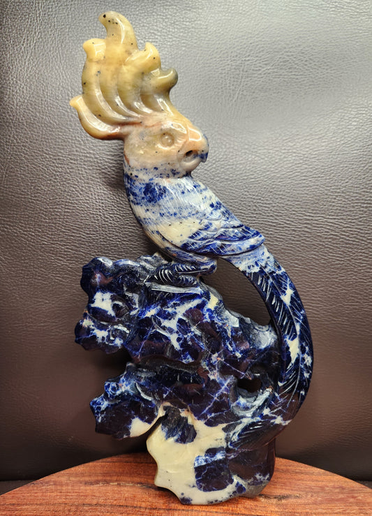 Sodalite Parrot Carving