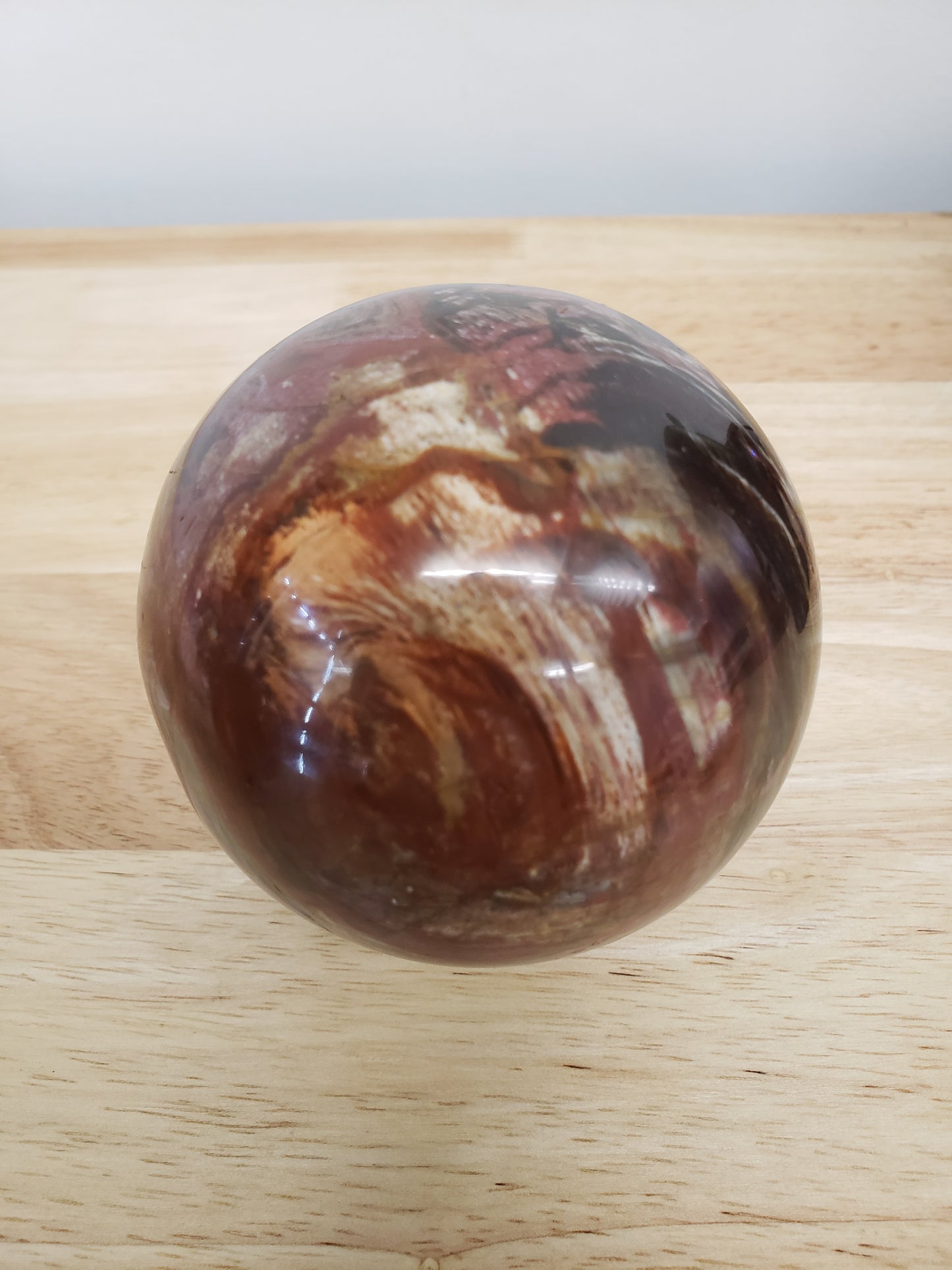 Petrified Wood Spheres