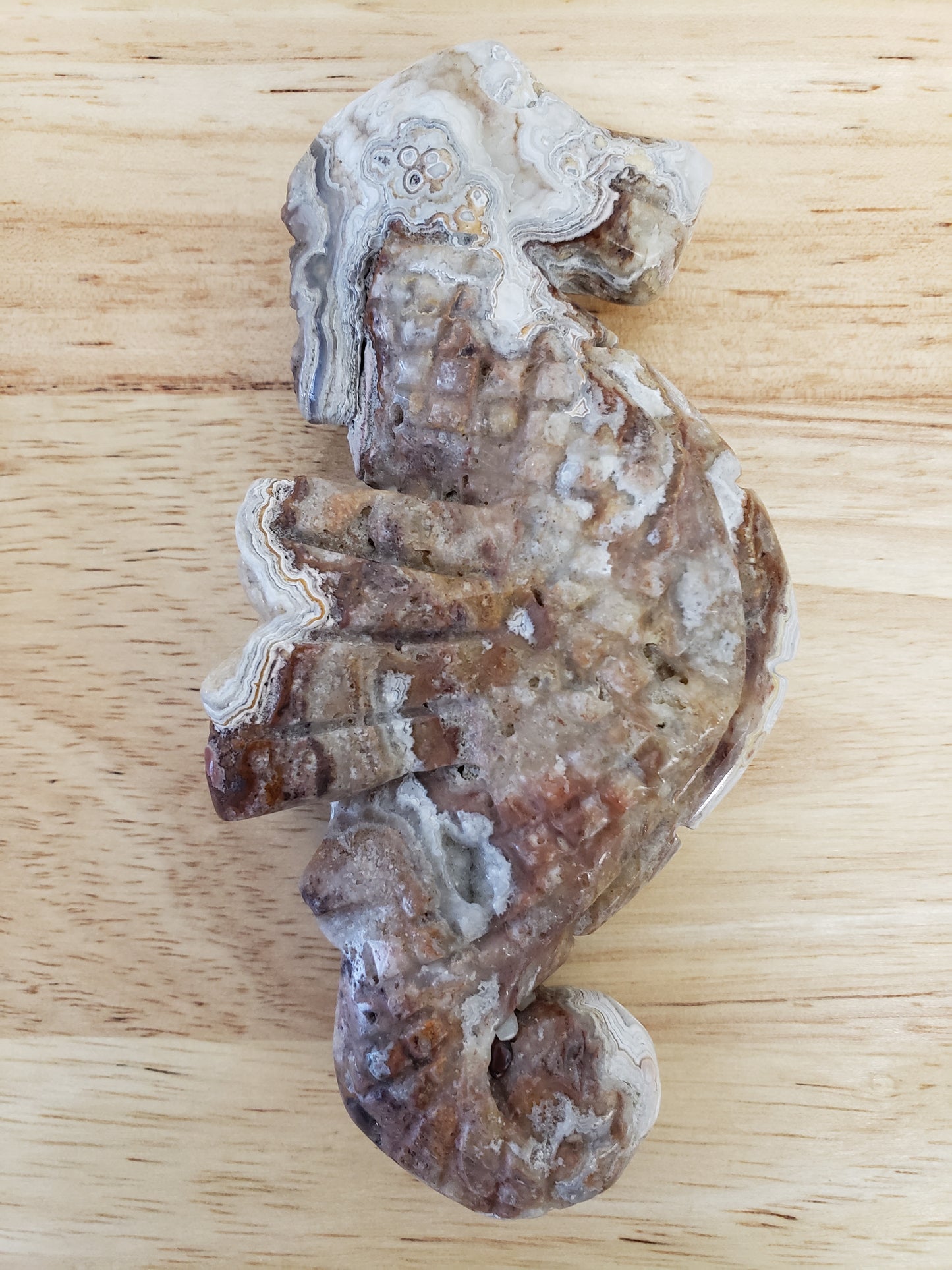 Assorted Seadragon Carvings