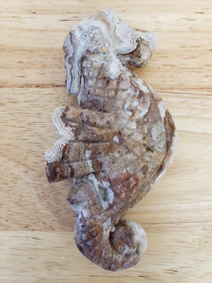 Assorted Seadragon Carvings