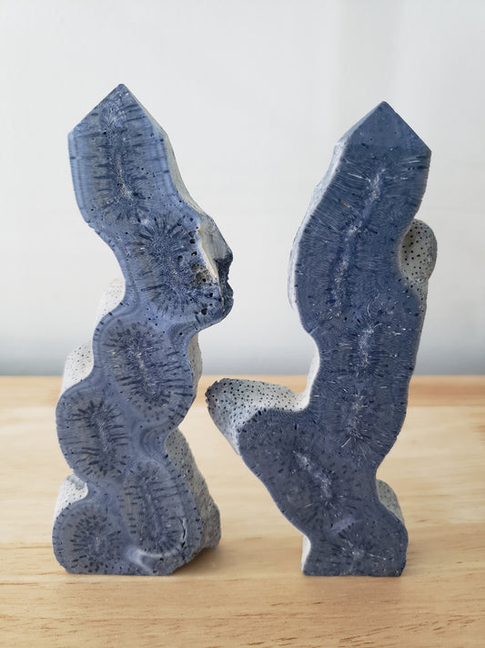 Blue Coral Tower L