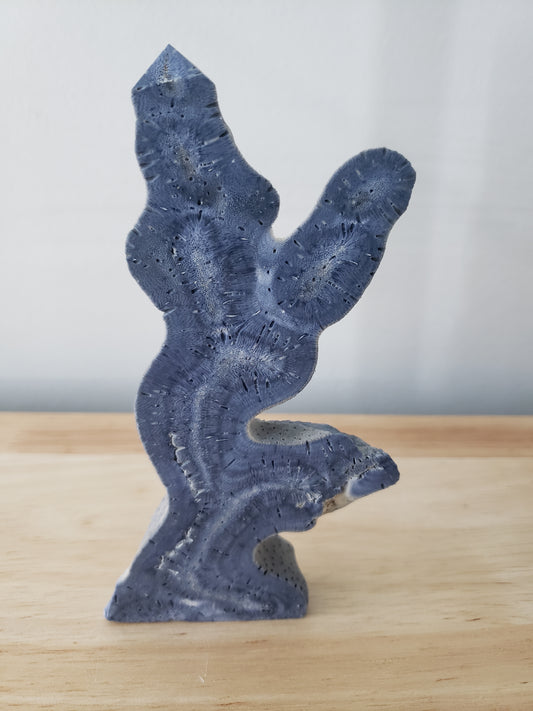 Blue Coral Tower XL