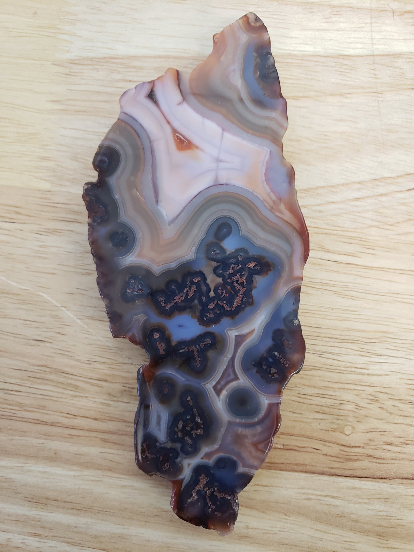 Blue Flower Agate Slabs