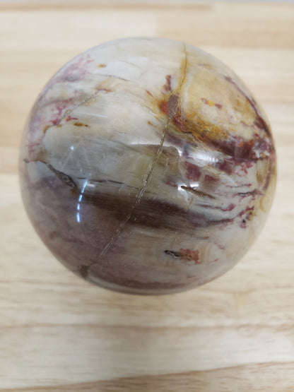 Petrified Wood Spheres