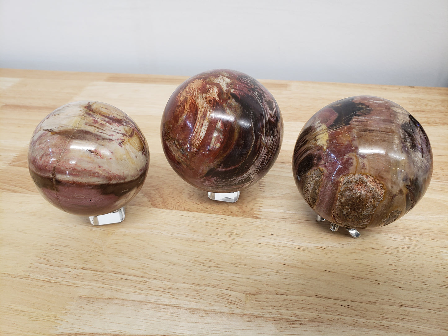 Petrified Wood Spheres