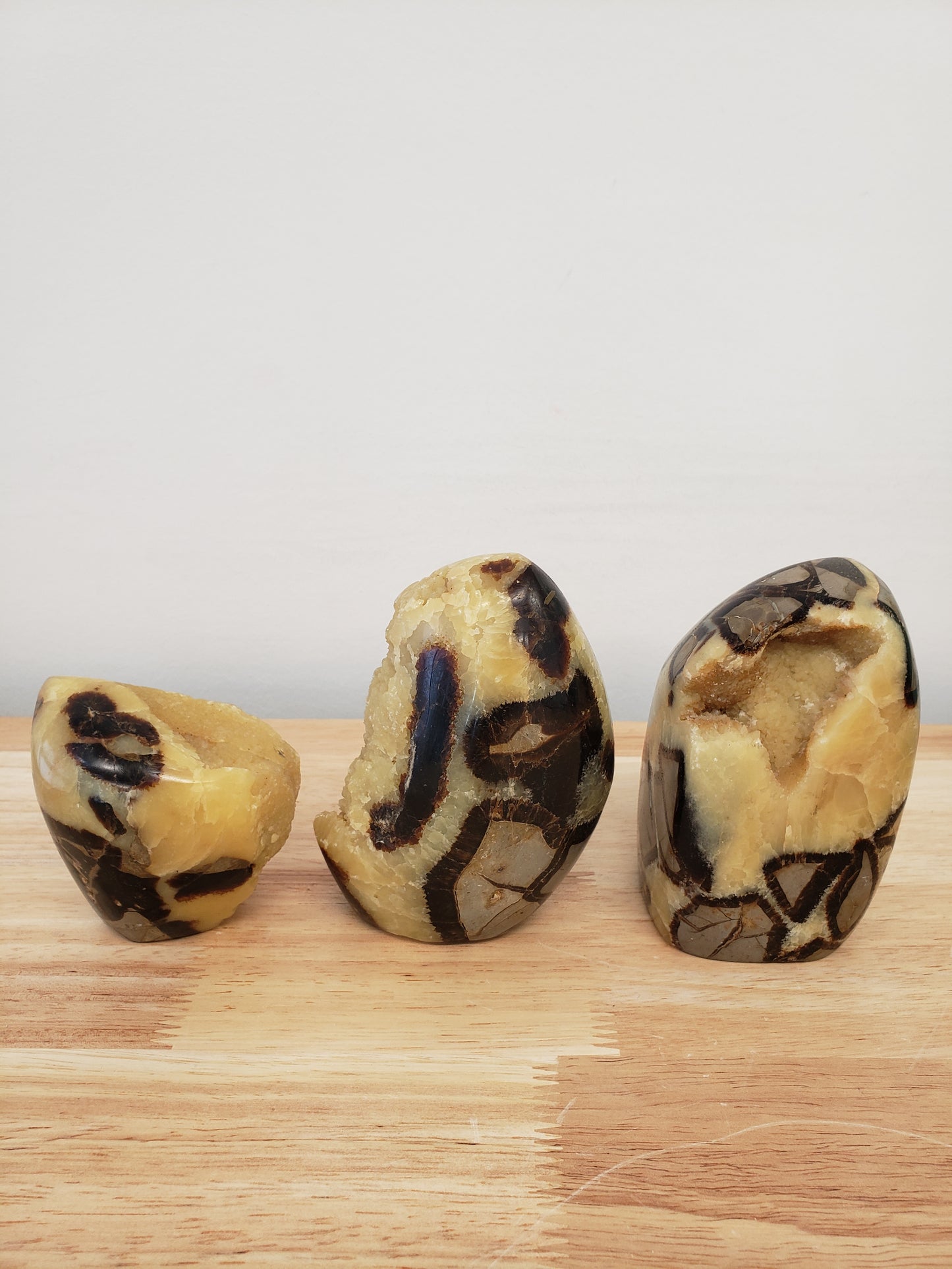 Septarium Egg Free-forms