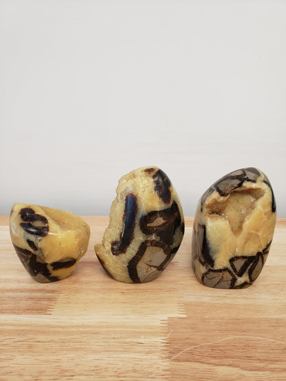 Septarium Egg Free-forms