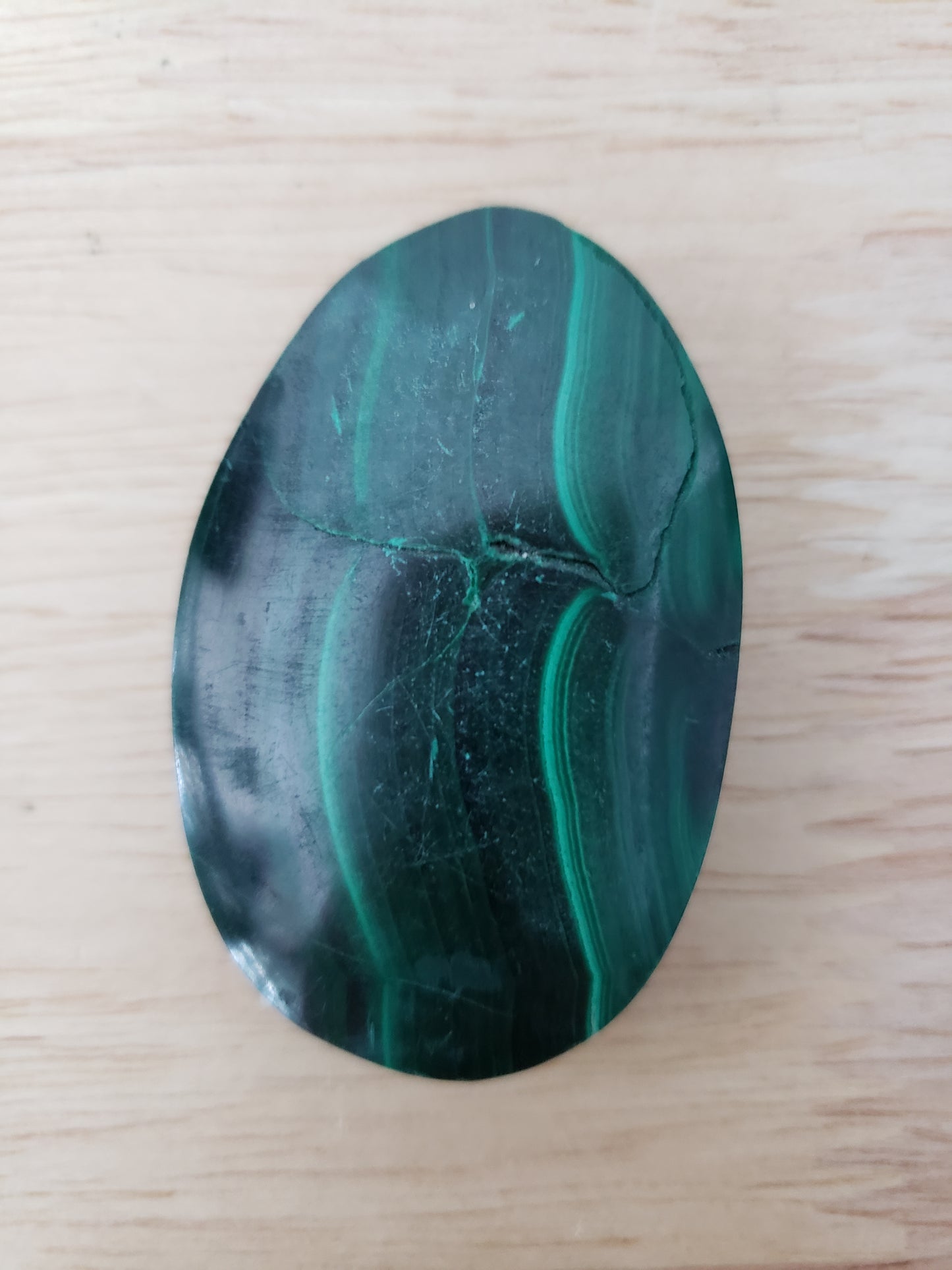 Malachite Palms