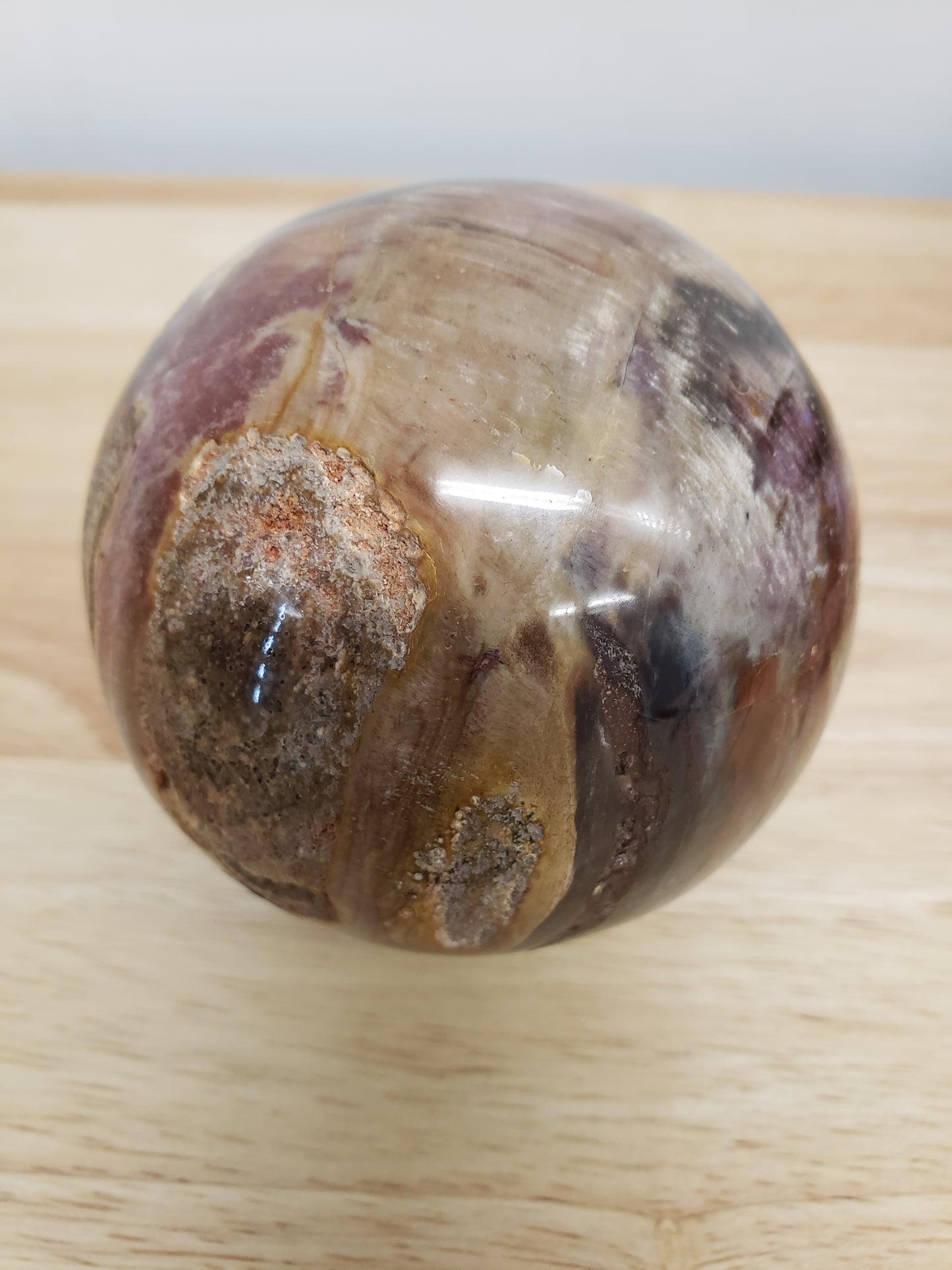 Petrified Wood Spheres