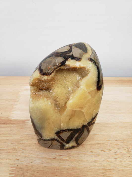 Septarium Egg Free-forms