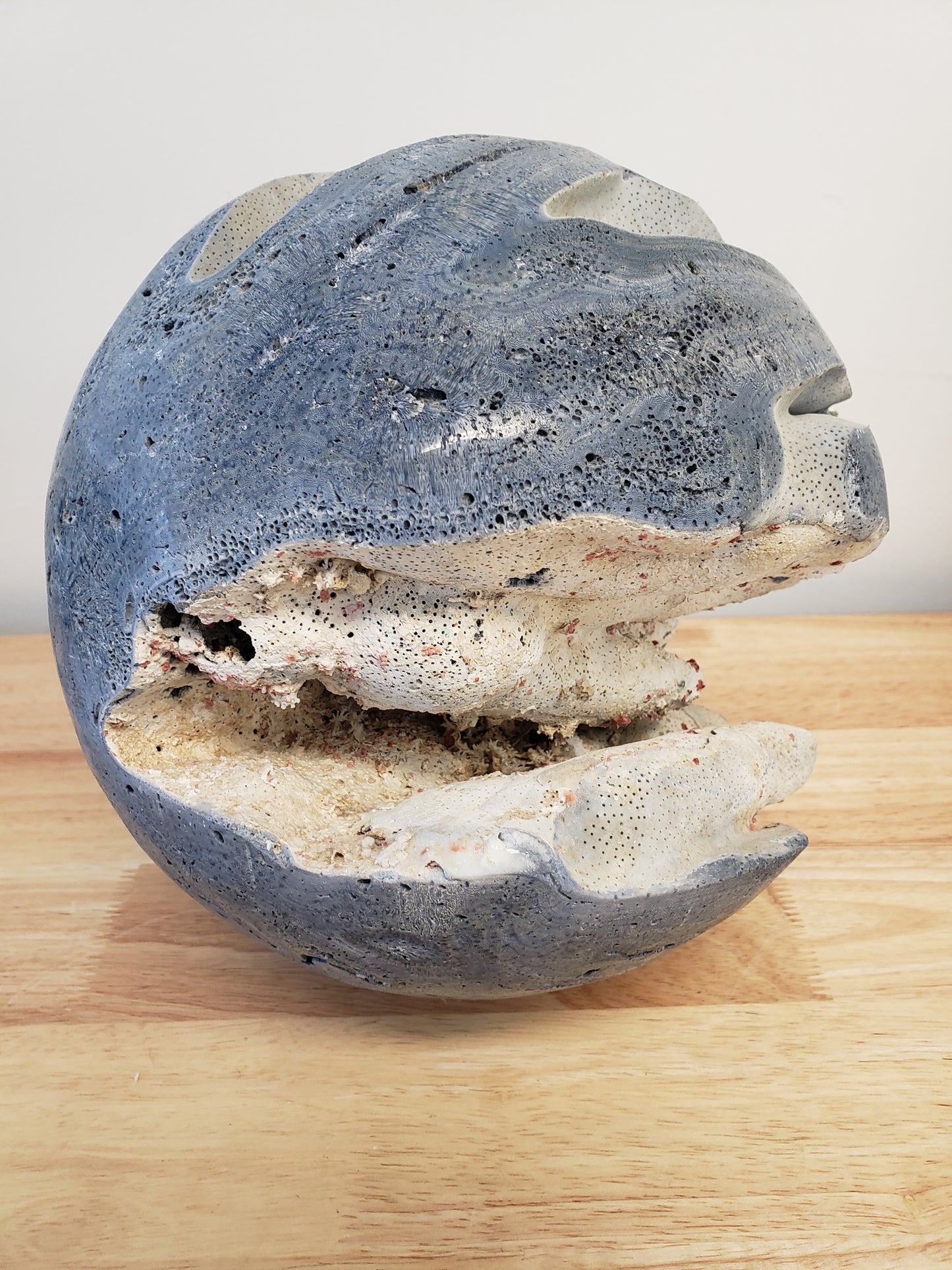 Blue Coral Fossil Sphere