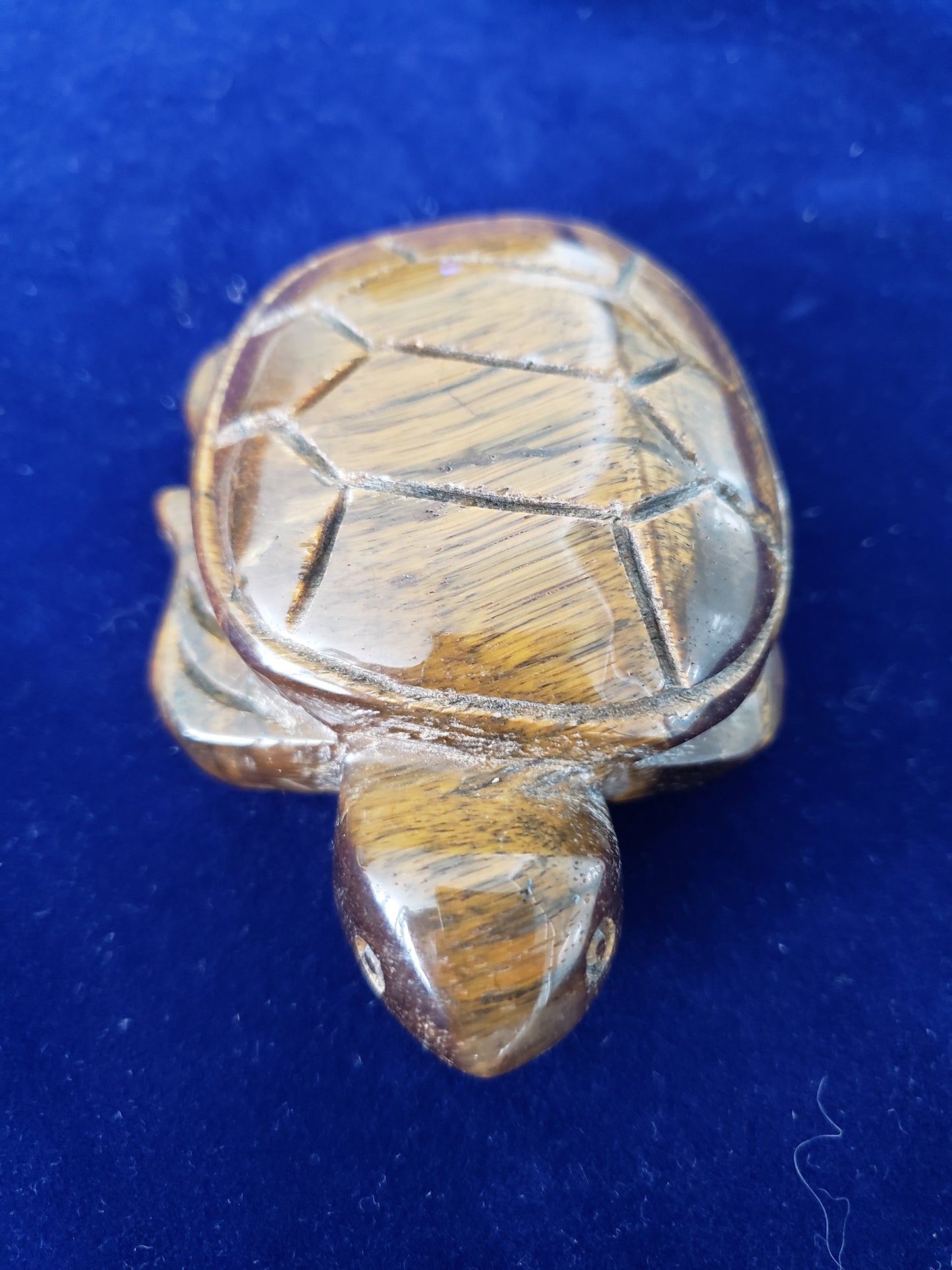 Tigers Eye Turtle Carving
