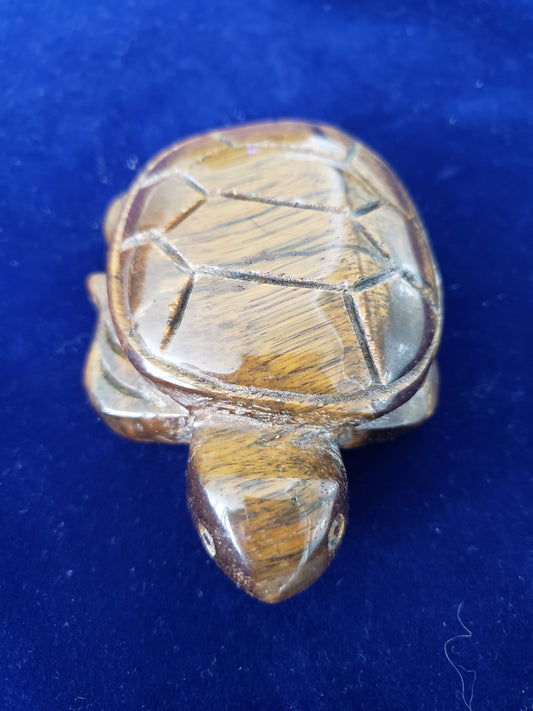 Tigers Eye Turtle Carving