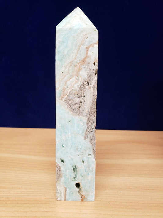 Caribbean Aragonite Tower