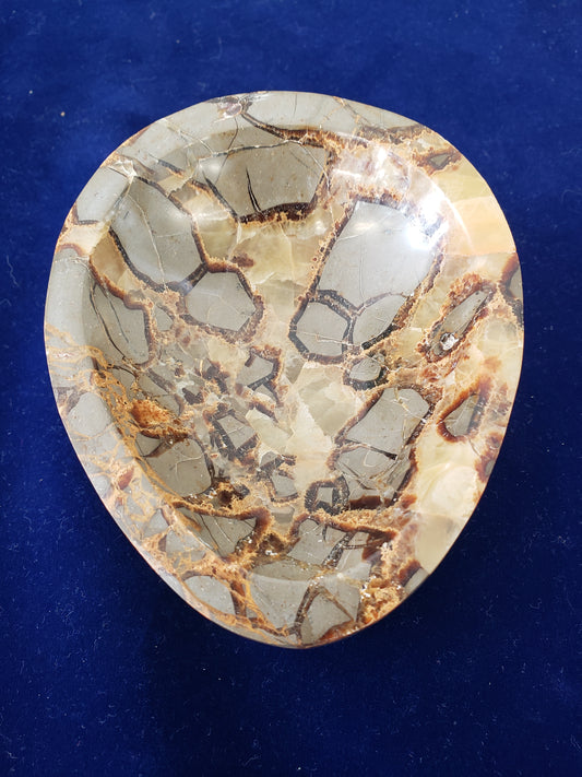Separium Bowl