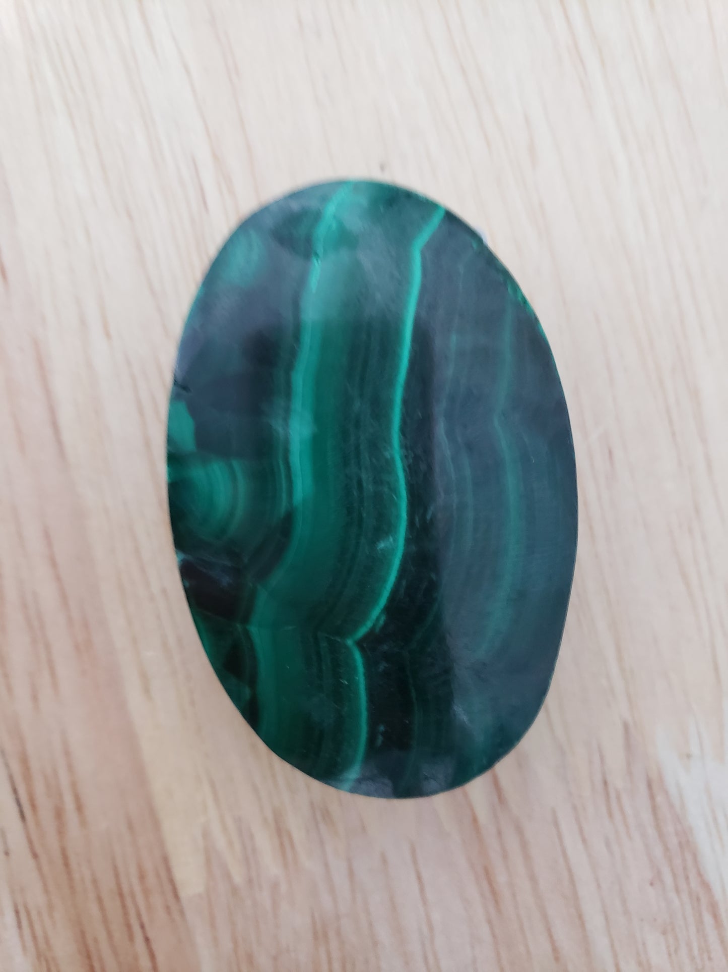 Malachite Palms