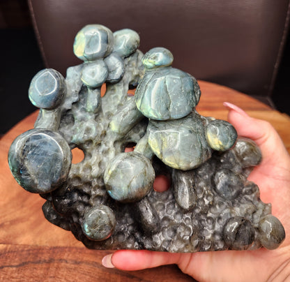 Labradorite Mushrooms Carving