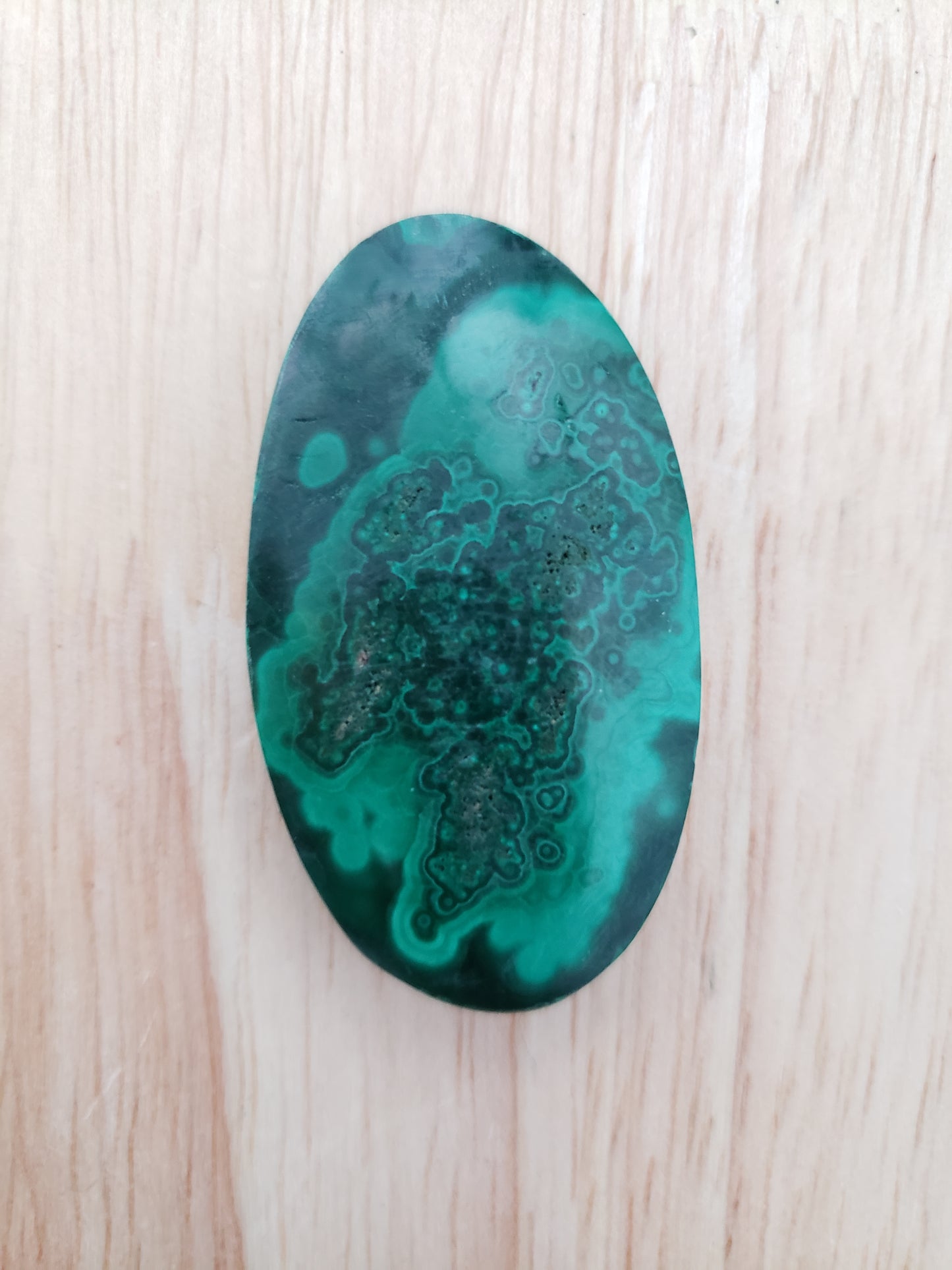 Malachite Palms