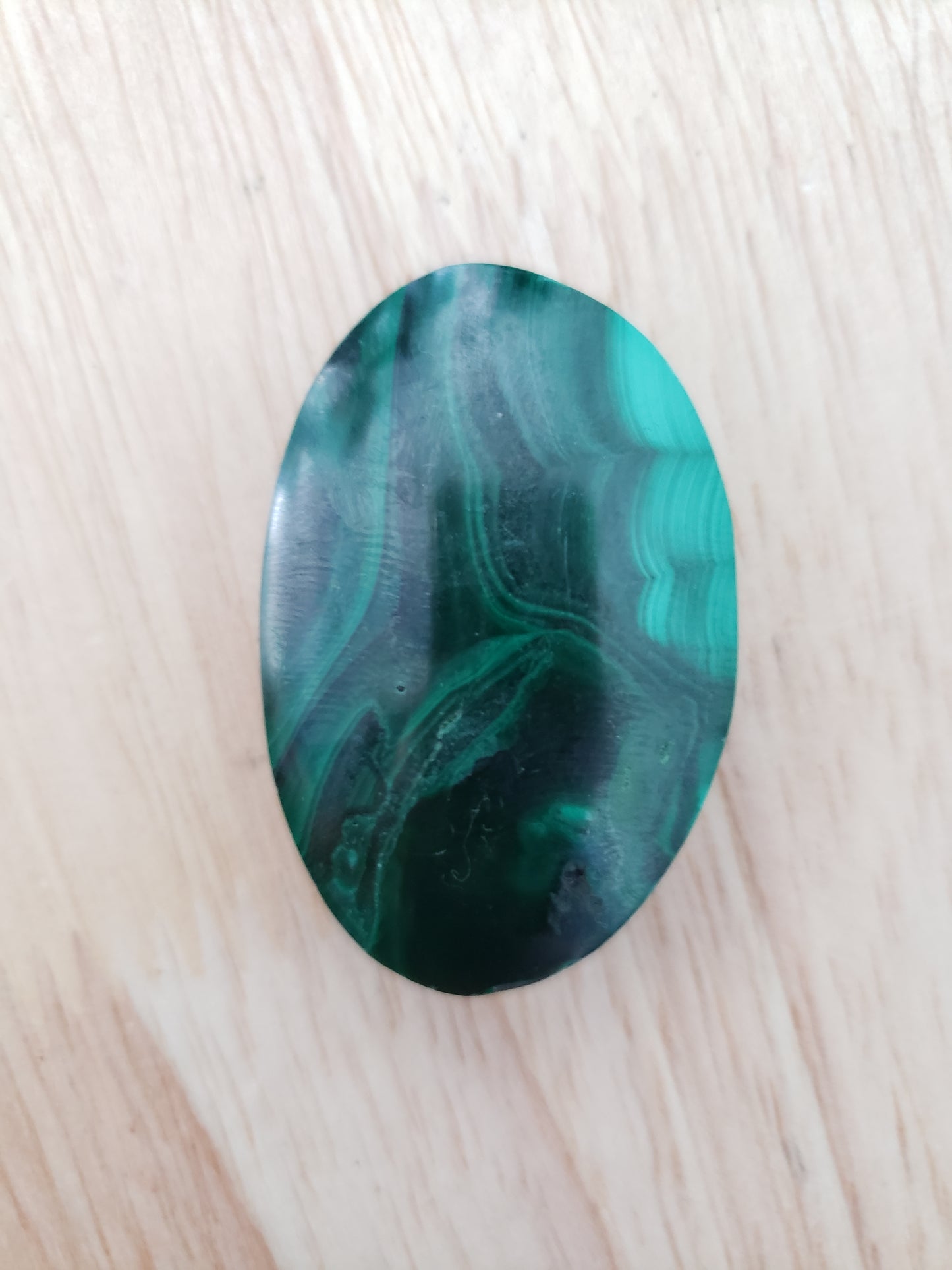 Malachite Palms